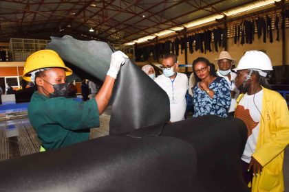 Visit to the Kawumu Tannery factory