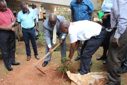 Minister of state for cooperatives Hon. Frederick Gume planting a cooperative tree outside the ministry offices at farmers house