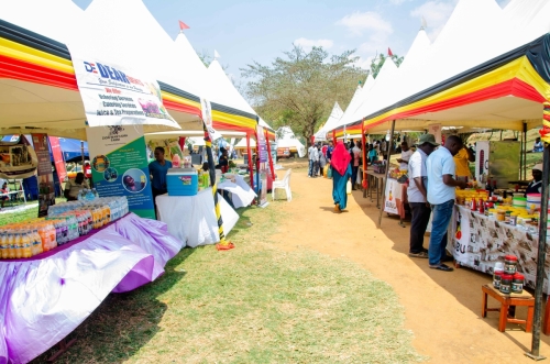 BUBU Regional Expo 2025 - Western